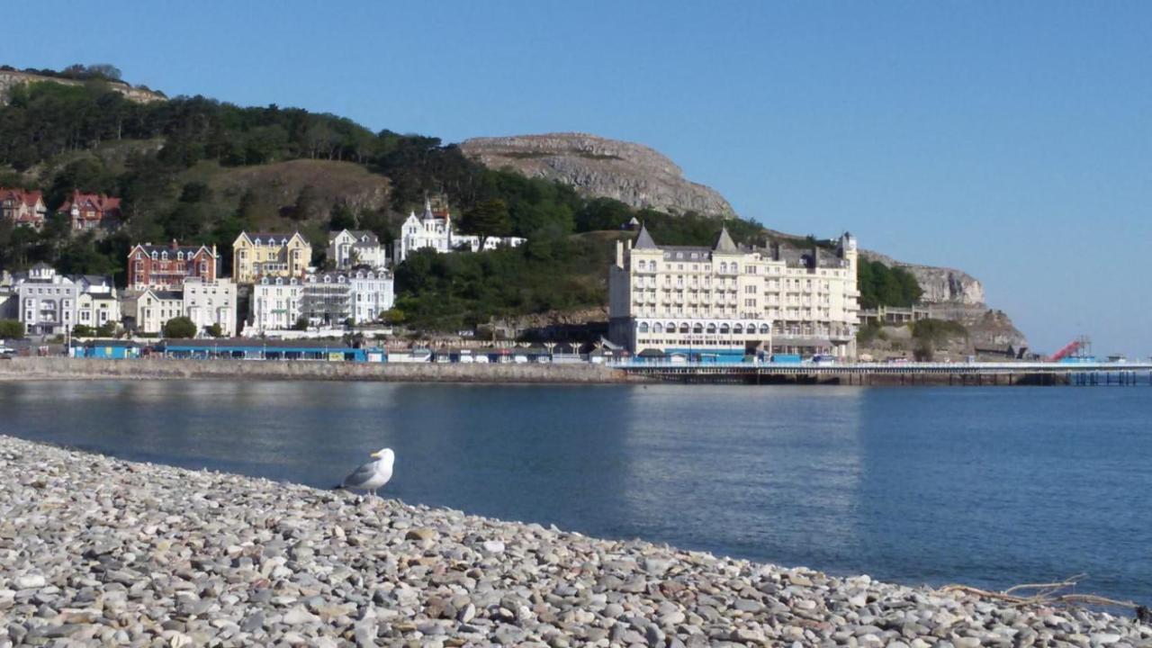 The Maureen
